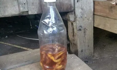 Quảng Nam: 2 cậu cháu tử vong vì uống rượu ngâm với rễ cây